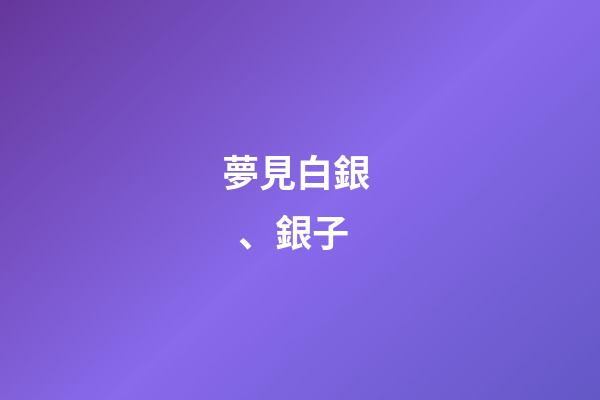 夢見白銀、銀子